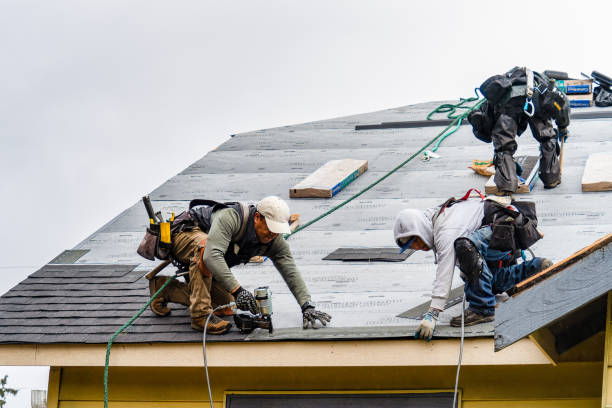 Professional Gutter Installation technician working in Starbuck, MN