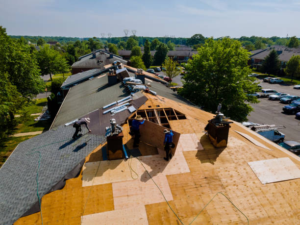 Trusted Storm Damage Roof Repair service in Starbuck, MN - Brentwood Metal Roofing